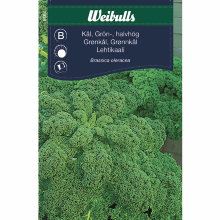 Grønnkål 'Westlandse Herfst'